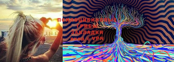 спиды Аркадак