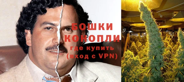 меф Ельня